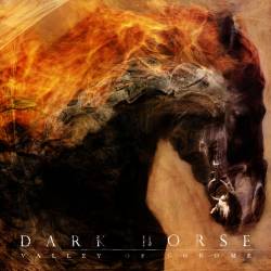 Valley Of Chrome : Dark Horse